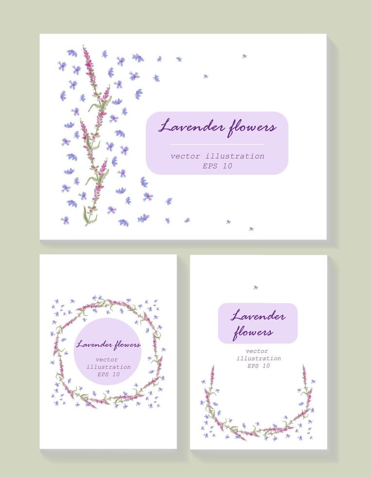 Lavender background card template collection. Vector card