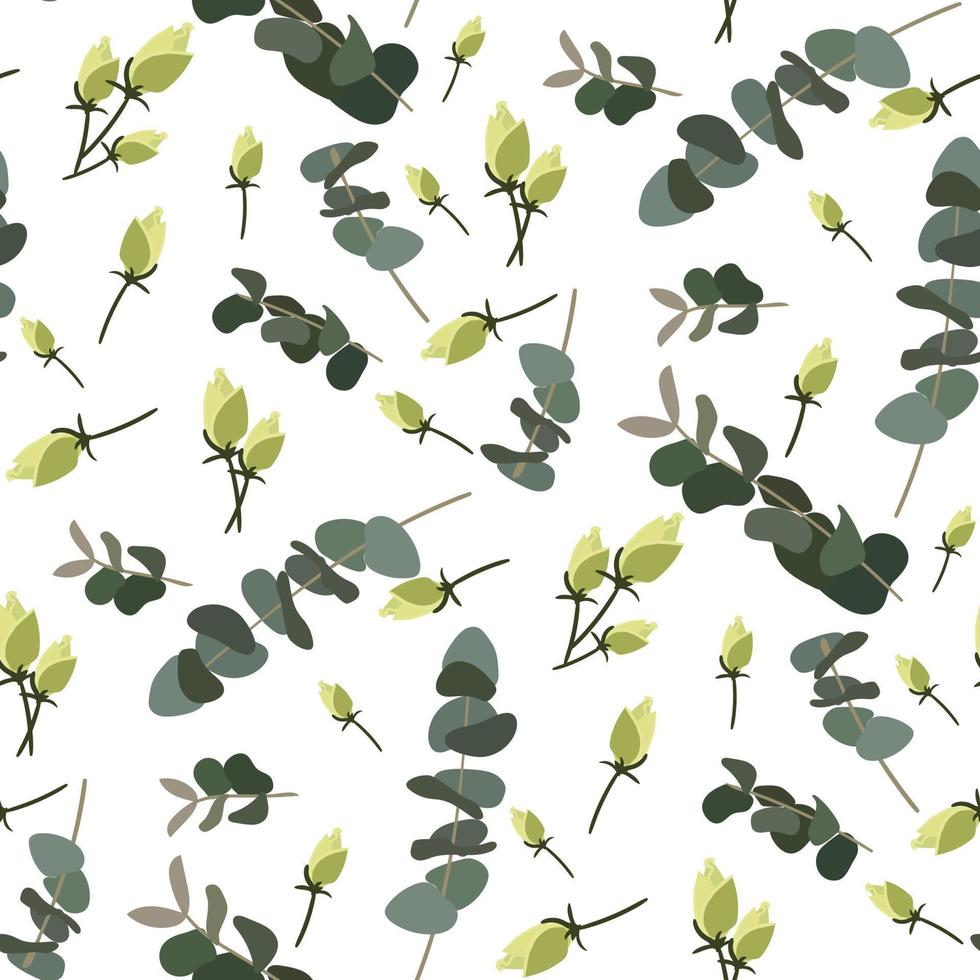 A pattern of white rose buds with green eucalyptus twigs on a white background. Delicate background for printing on paper and textiles. Print for packaging, postcards for Mother's Day, Valentine's Day vector