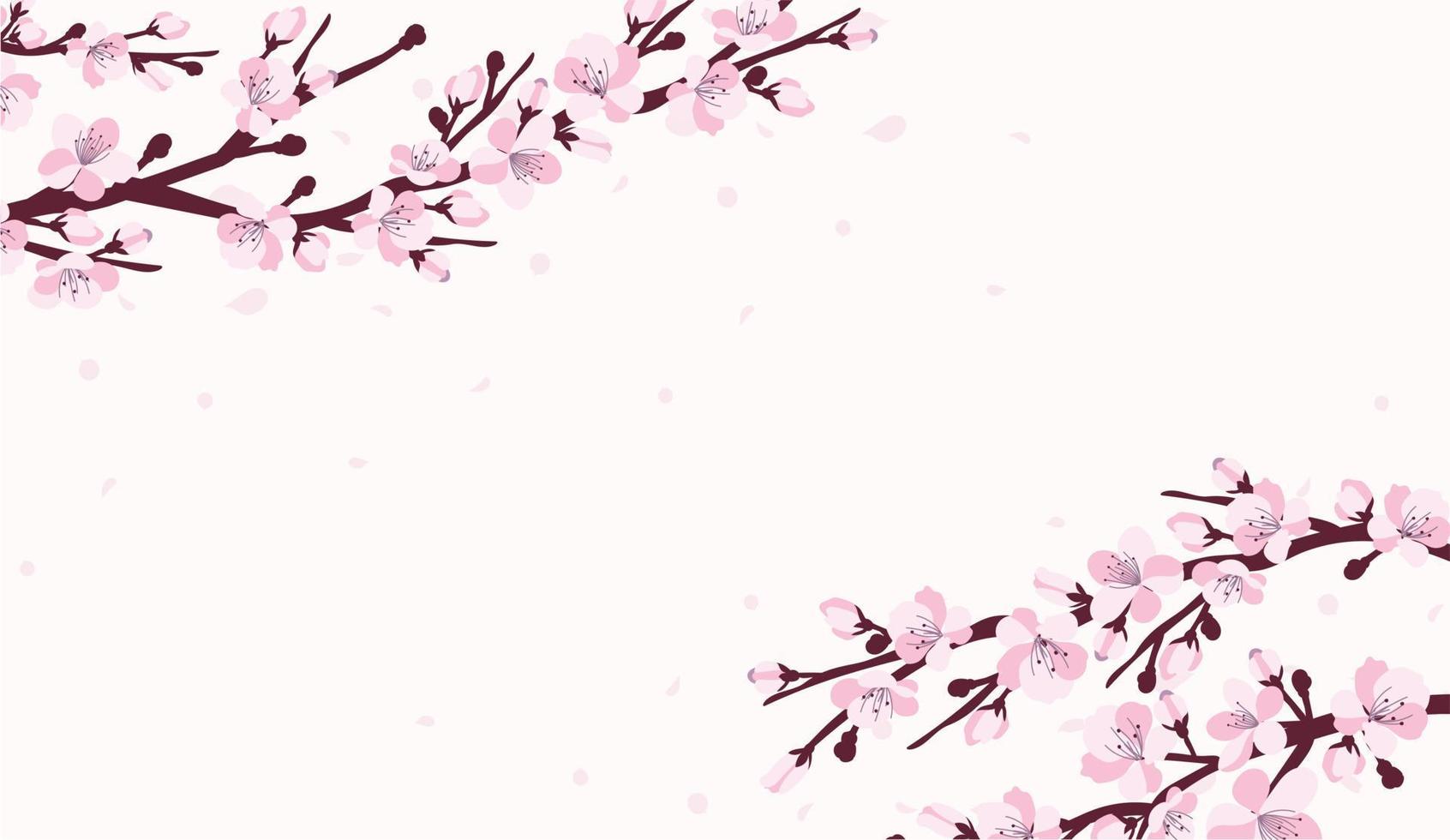 Background with cherry blossom. A branch with cherry blossoms isolated on a white background. Japanese sakura. Vector illustration