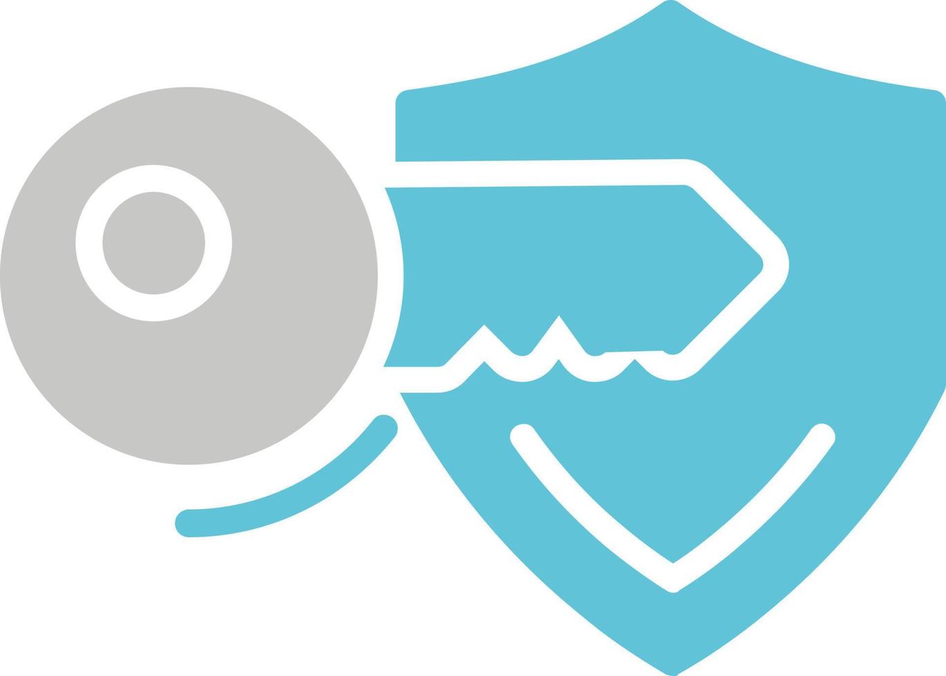 Access Vector Icon