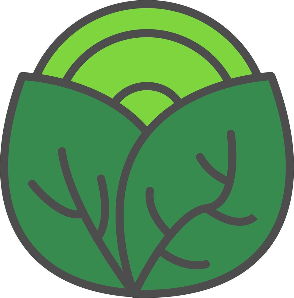 Cabbage Vector Icon