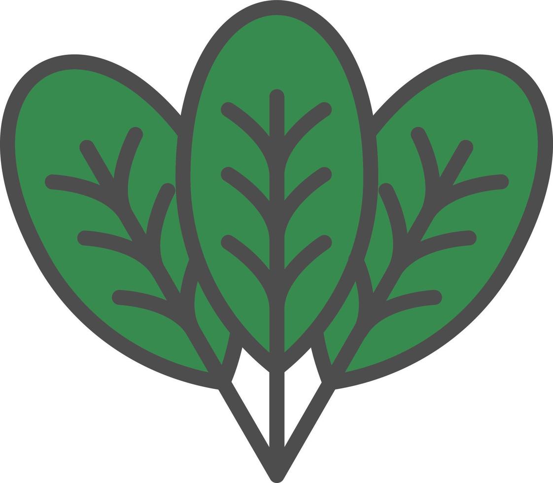 Spinach Vector Icon