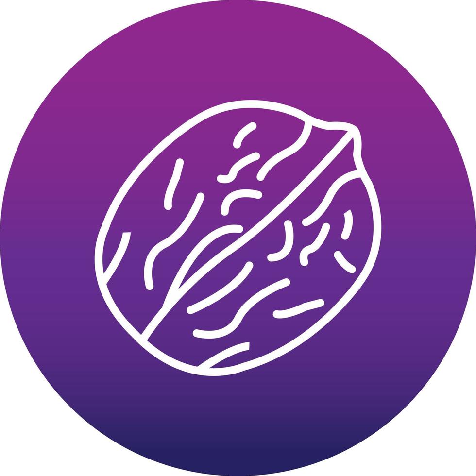 Walnut Vector Icon