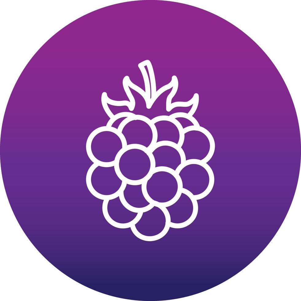 Blackberry Vector Icon