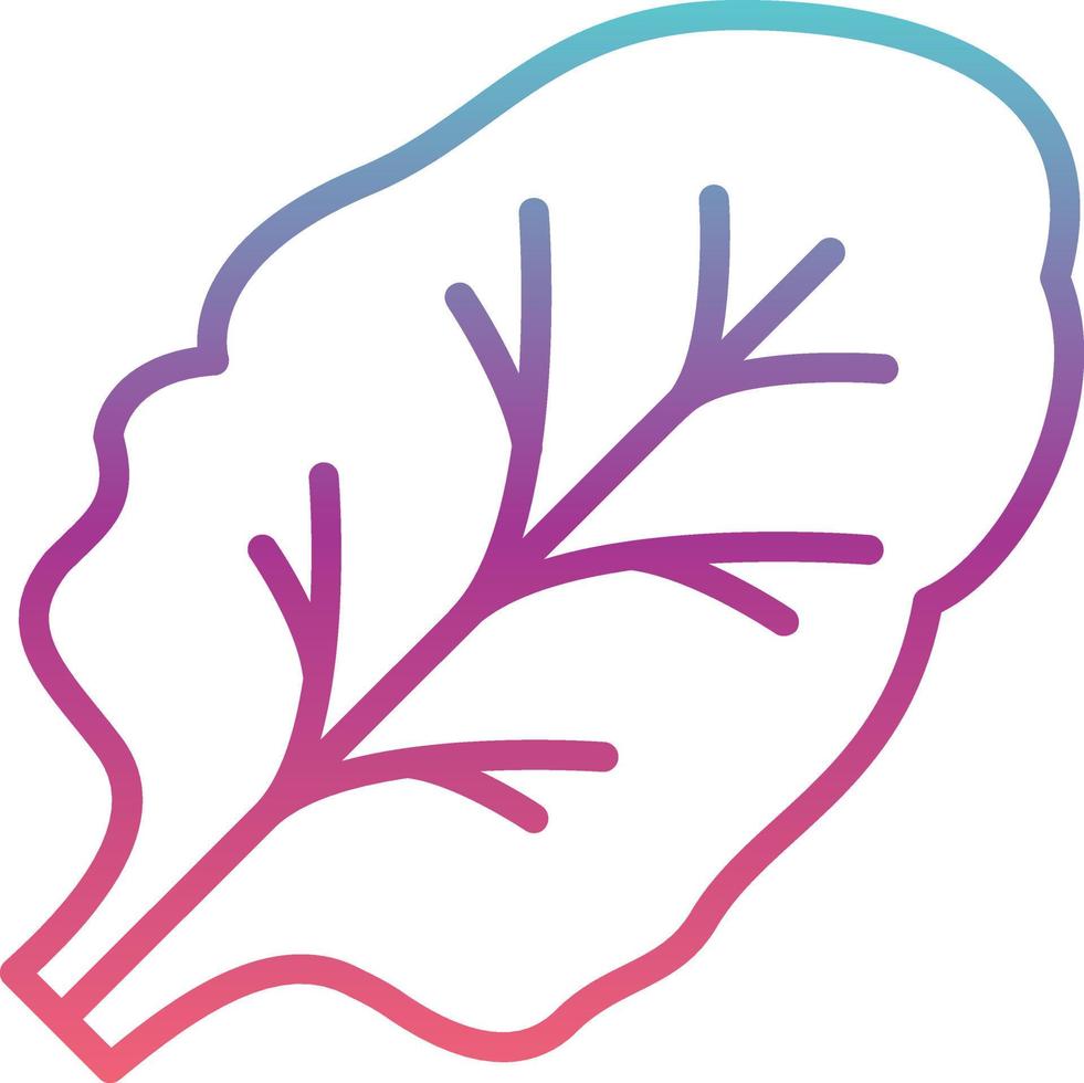 Chard Vector Icon