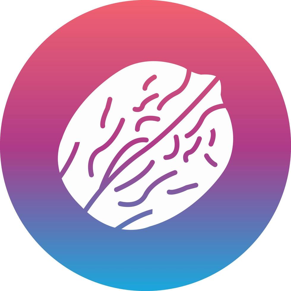 Walnut Vector Icon