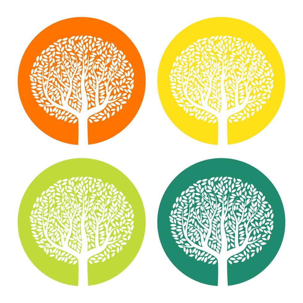 Set of four white trees with leaves on colorful round background. Vector illustration