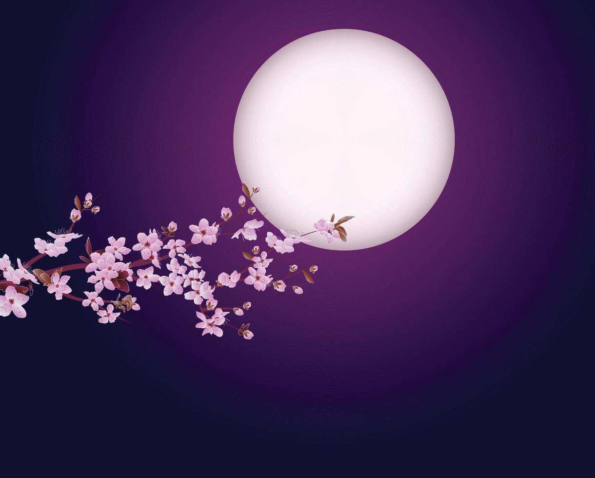 Cherry blossom at night vector