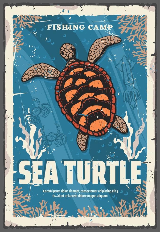 Sea turtle in ocean coral reefs vector