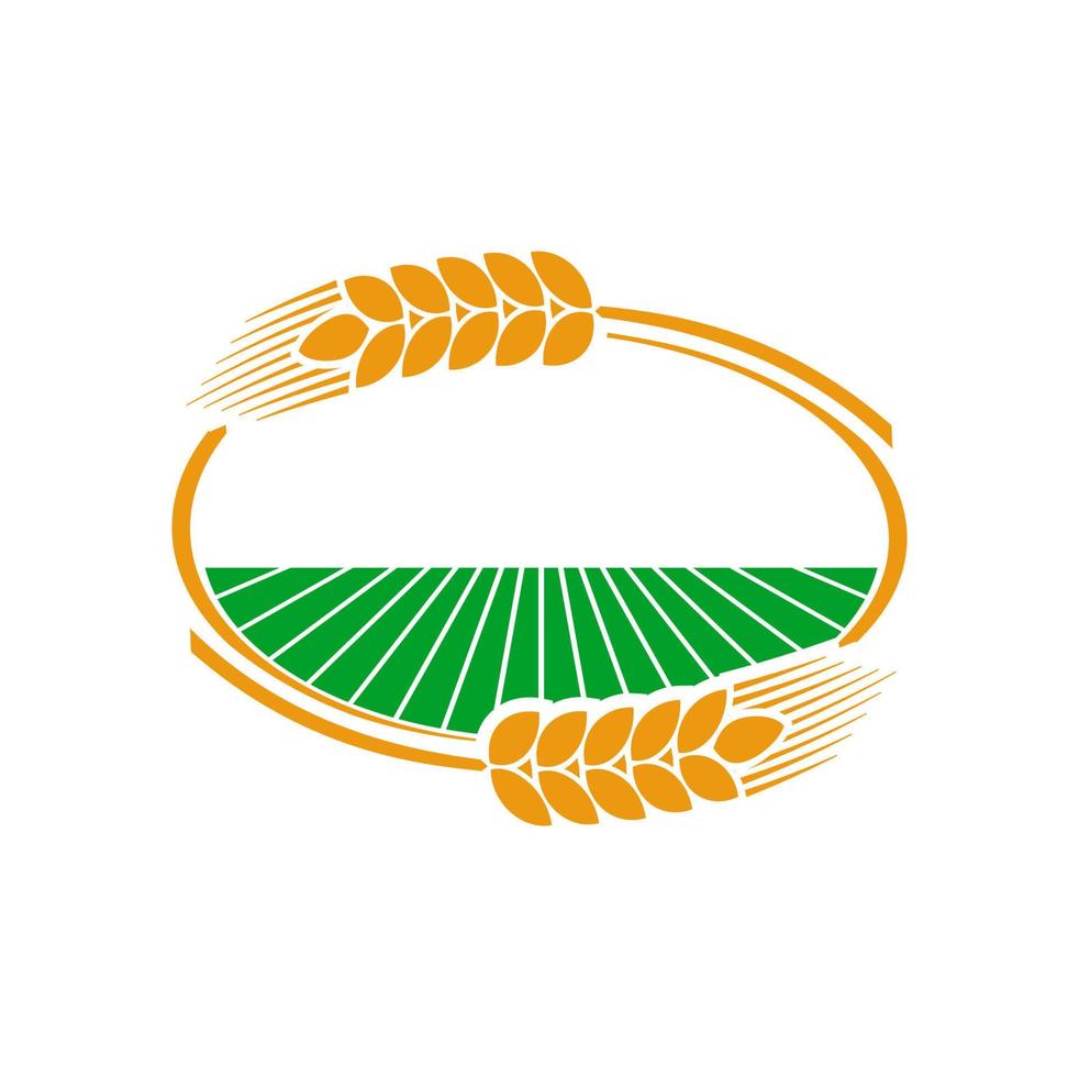 Cereal ear and spike icon of wheat, rye and barley vector