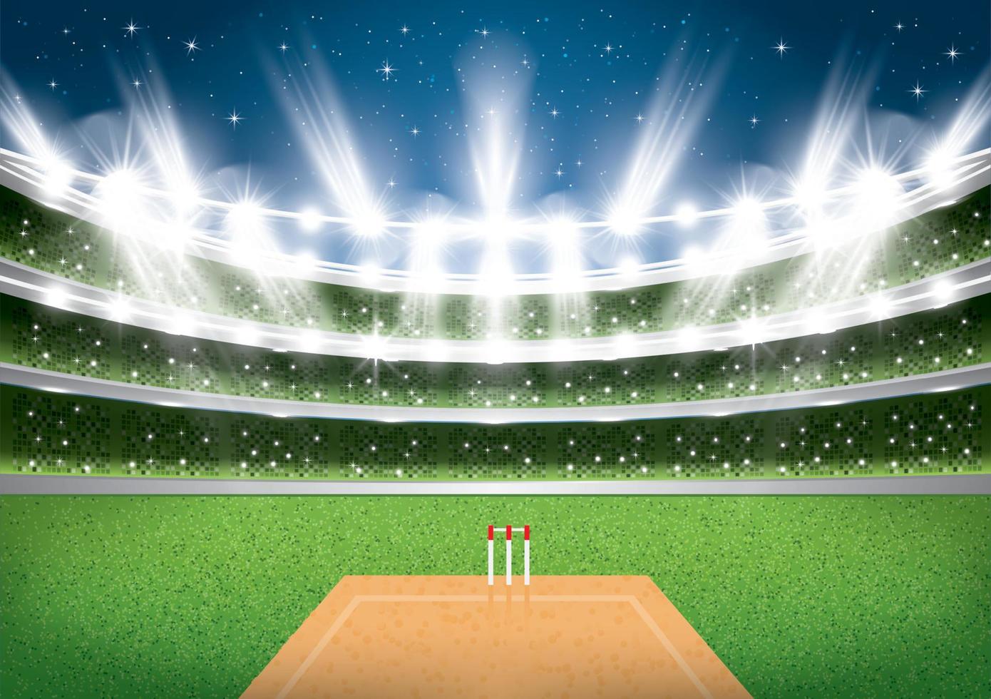 Cricket Stadium with Spotlights. vector