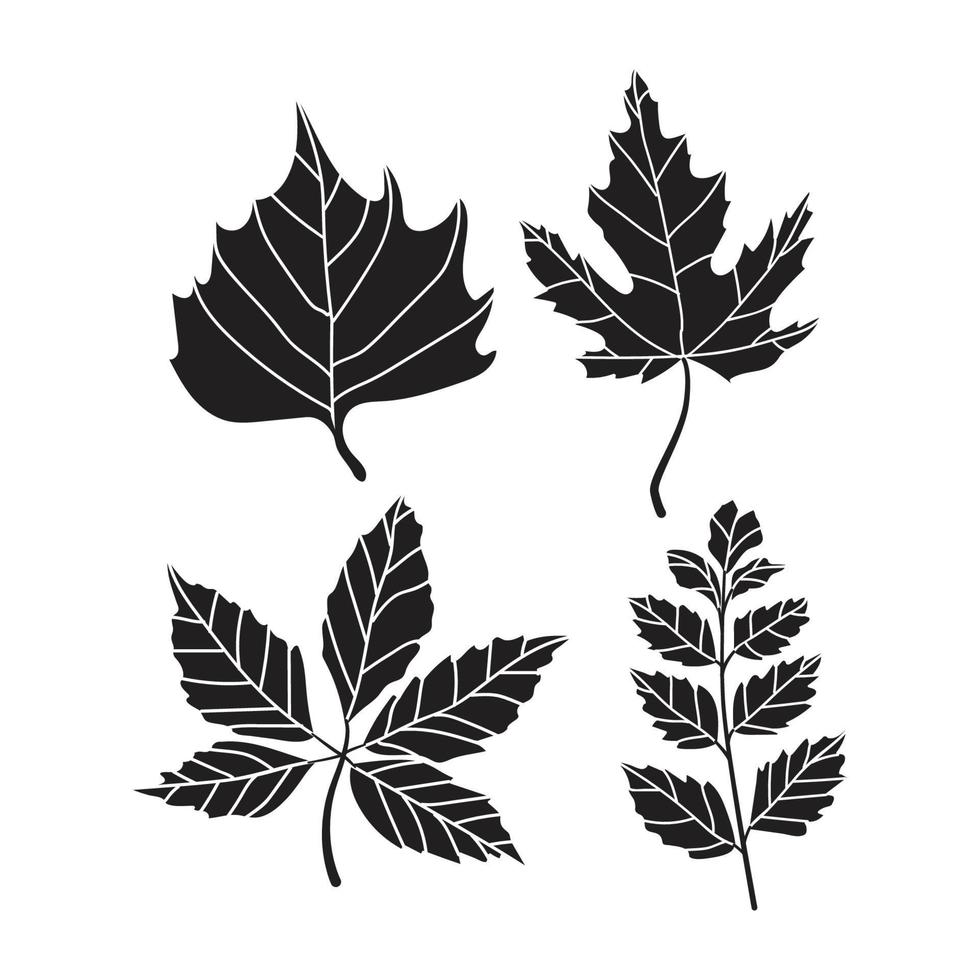 colección bosque helecho eucalipto arte follaje hojas naturales hierbas en estilo de línea. belleza decorativa elegante ilustración para diseño flor dibujada a mano vector