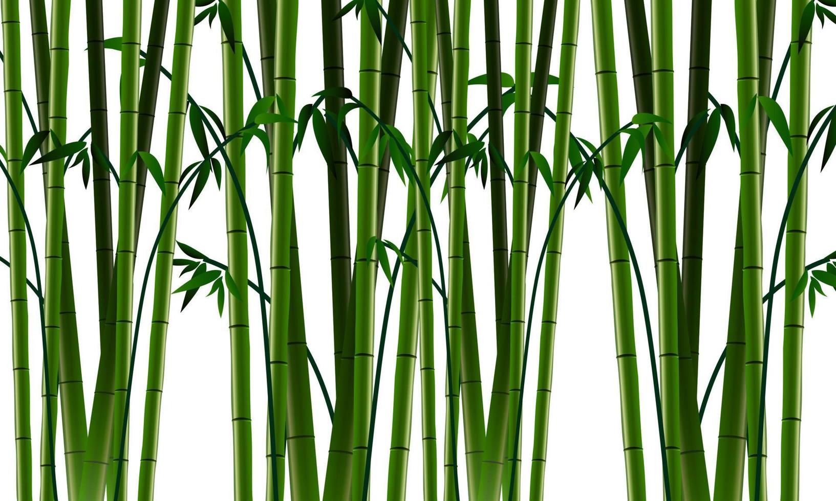 bamboo pattern wallpaper vector