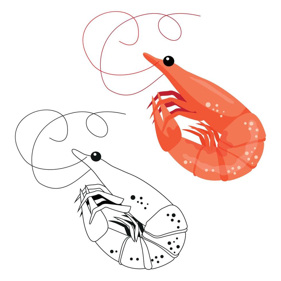 Asianfood. Raw Orange Shrimp On A White Background. Element For Design. Color And Black And White vector