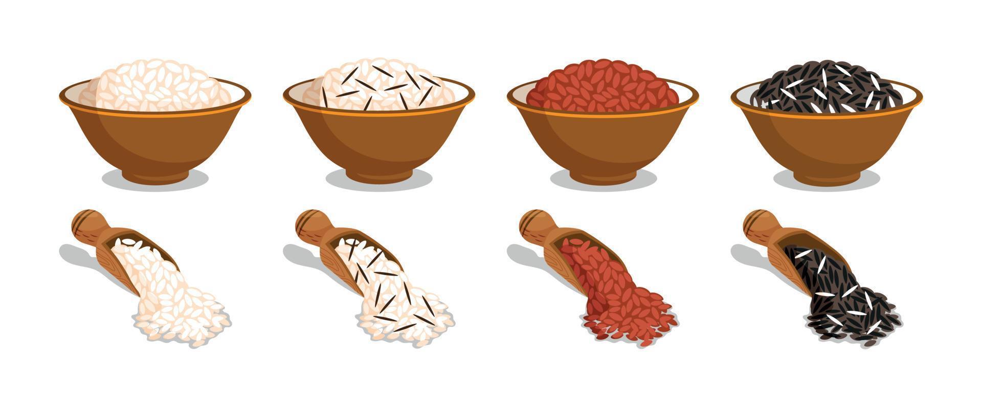 comida asiática. comida asiática. diferentes tipos de arroz en tazas y en cucharas. arroz blanco, rojo, integral, negro. póster vector