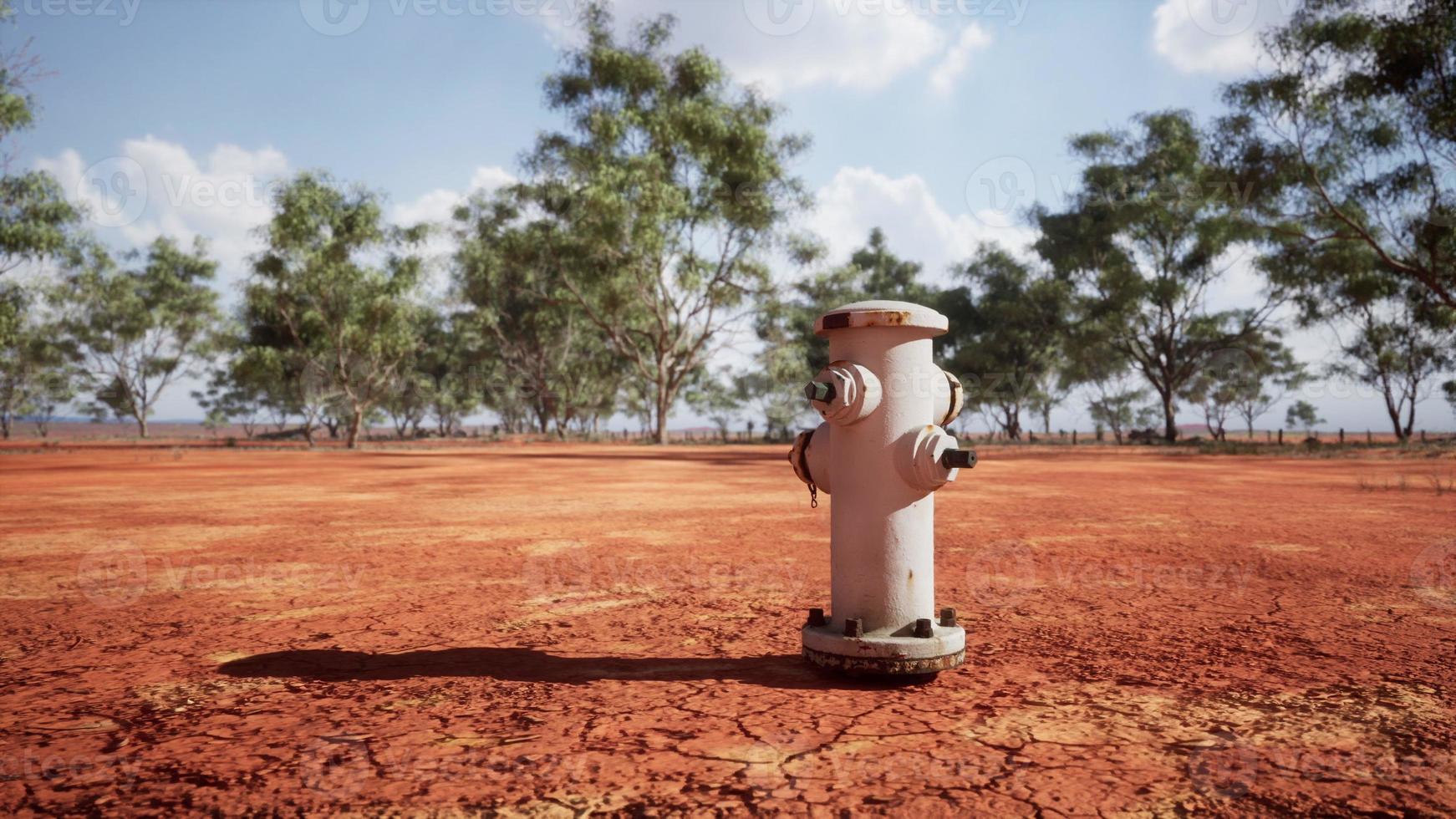 old rusted fire hydrant in desert photo