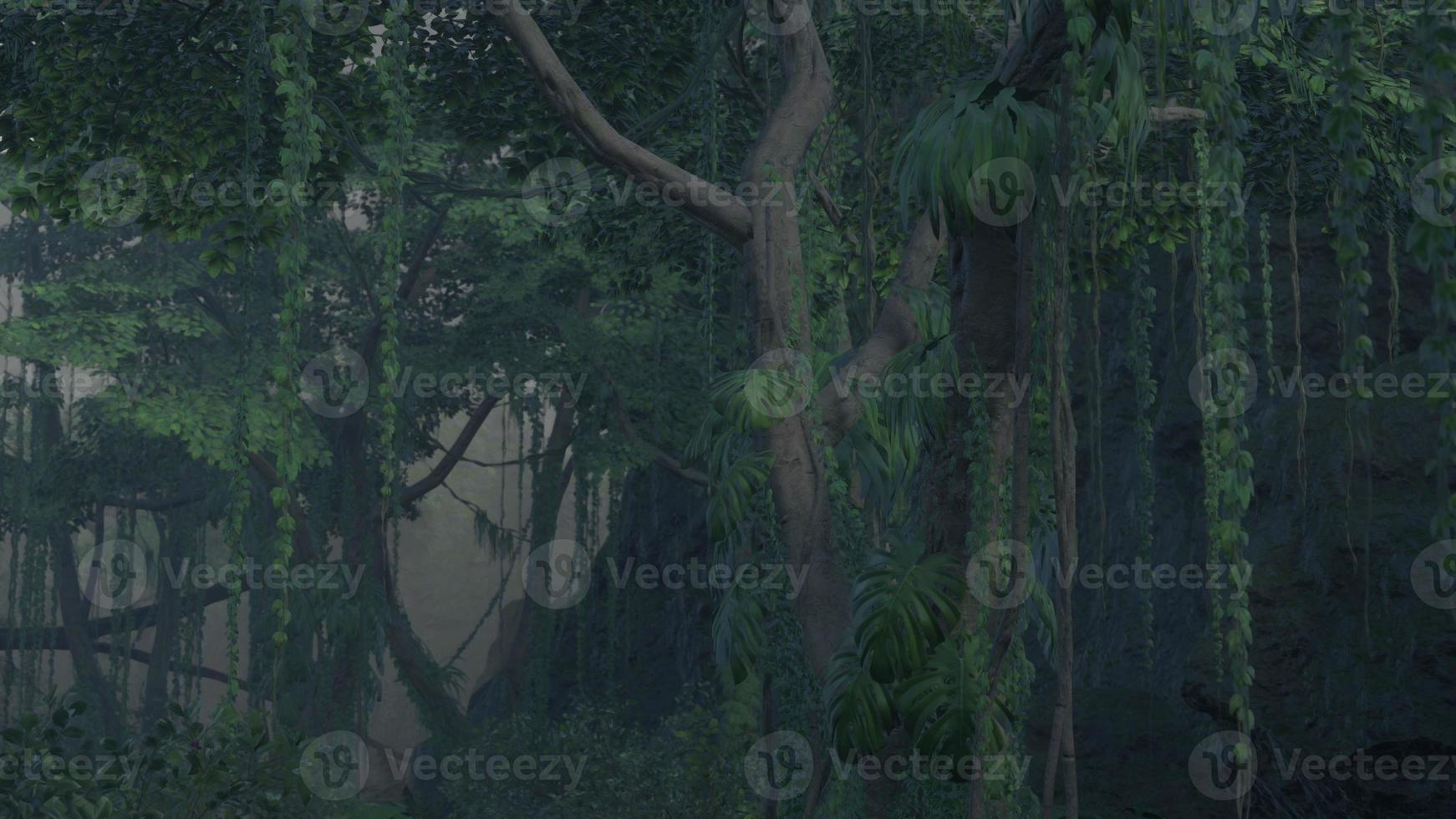 Deep tropical jungle in darkness photo