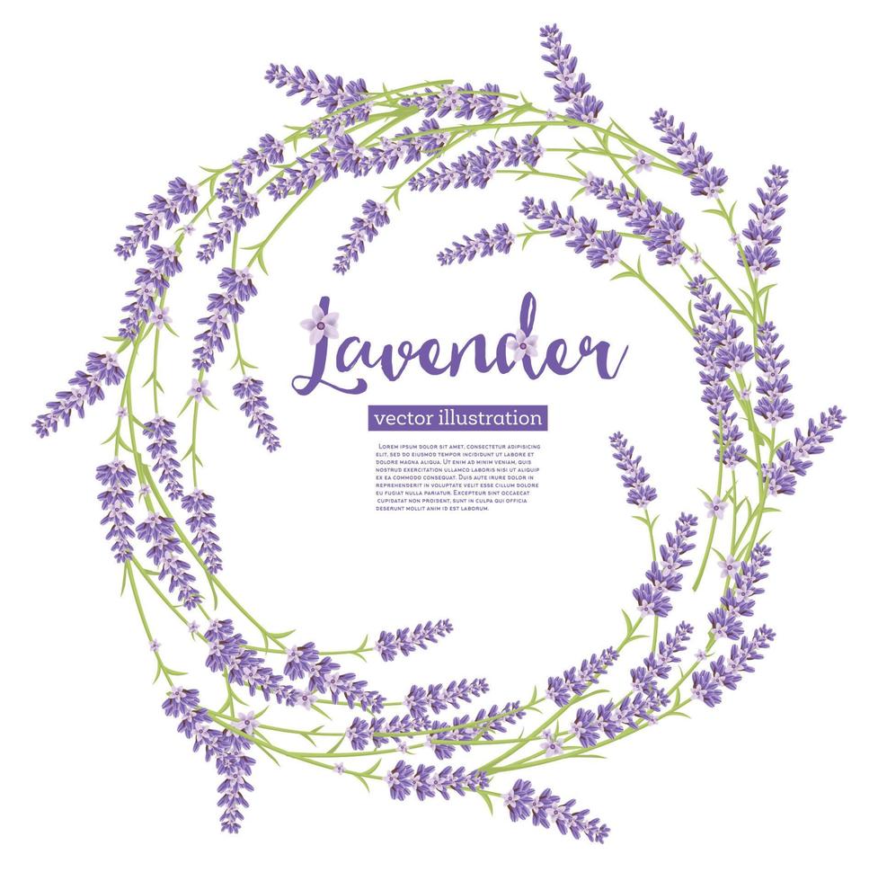 Lavender Wreath Flowers Isolated on White. vector