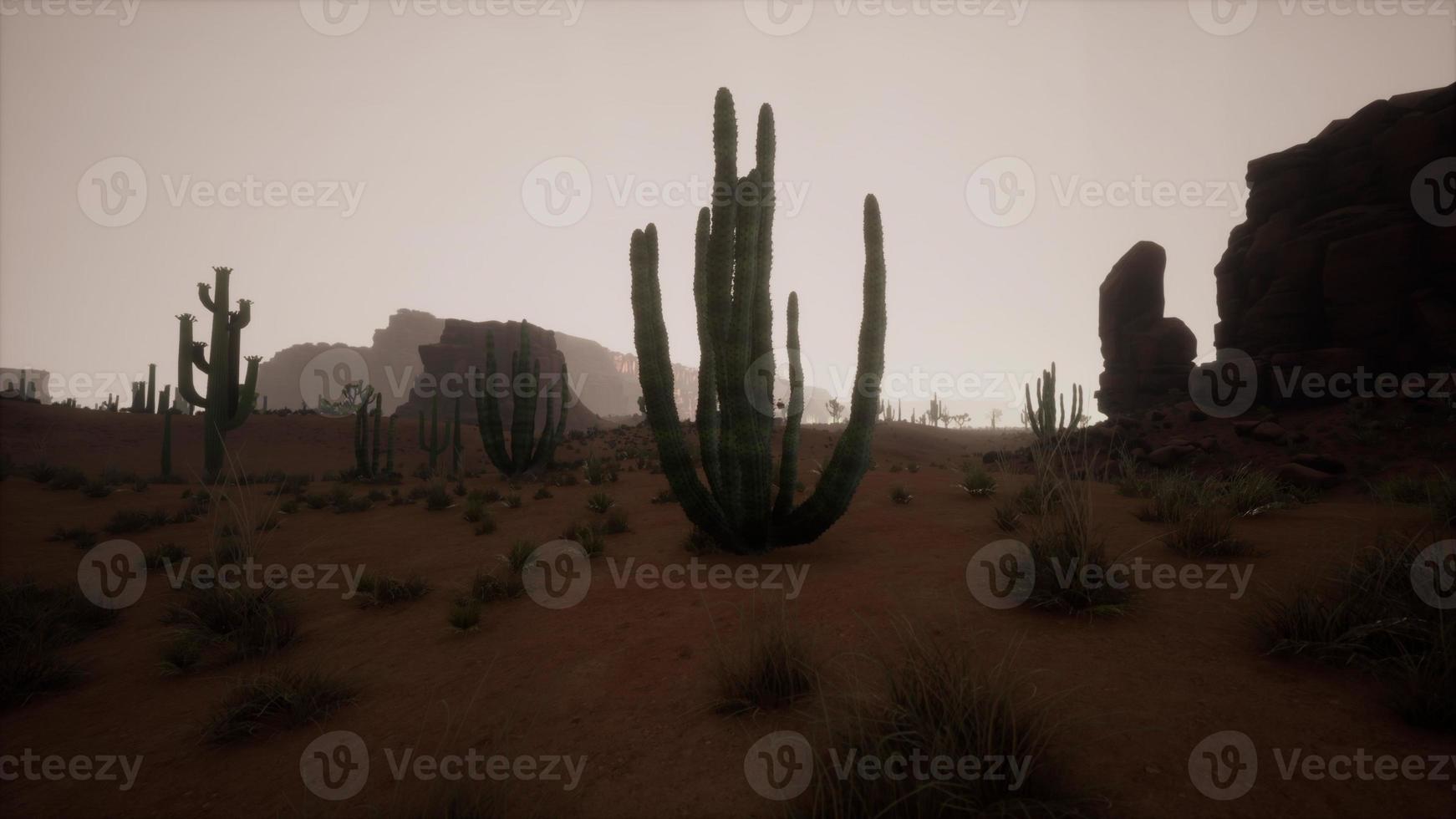 Sand dunes against sky before sunrise photo
