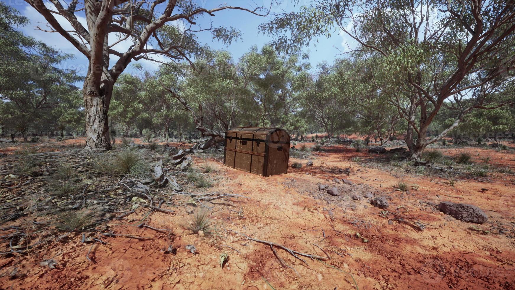Closed wooden treasure chest on sandy beach photo