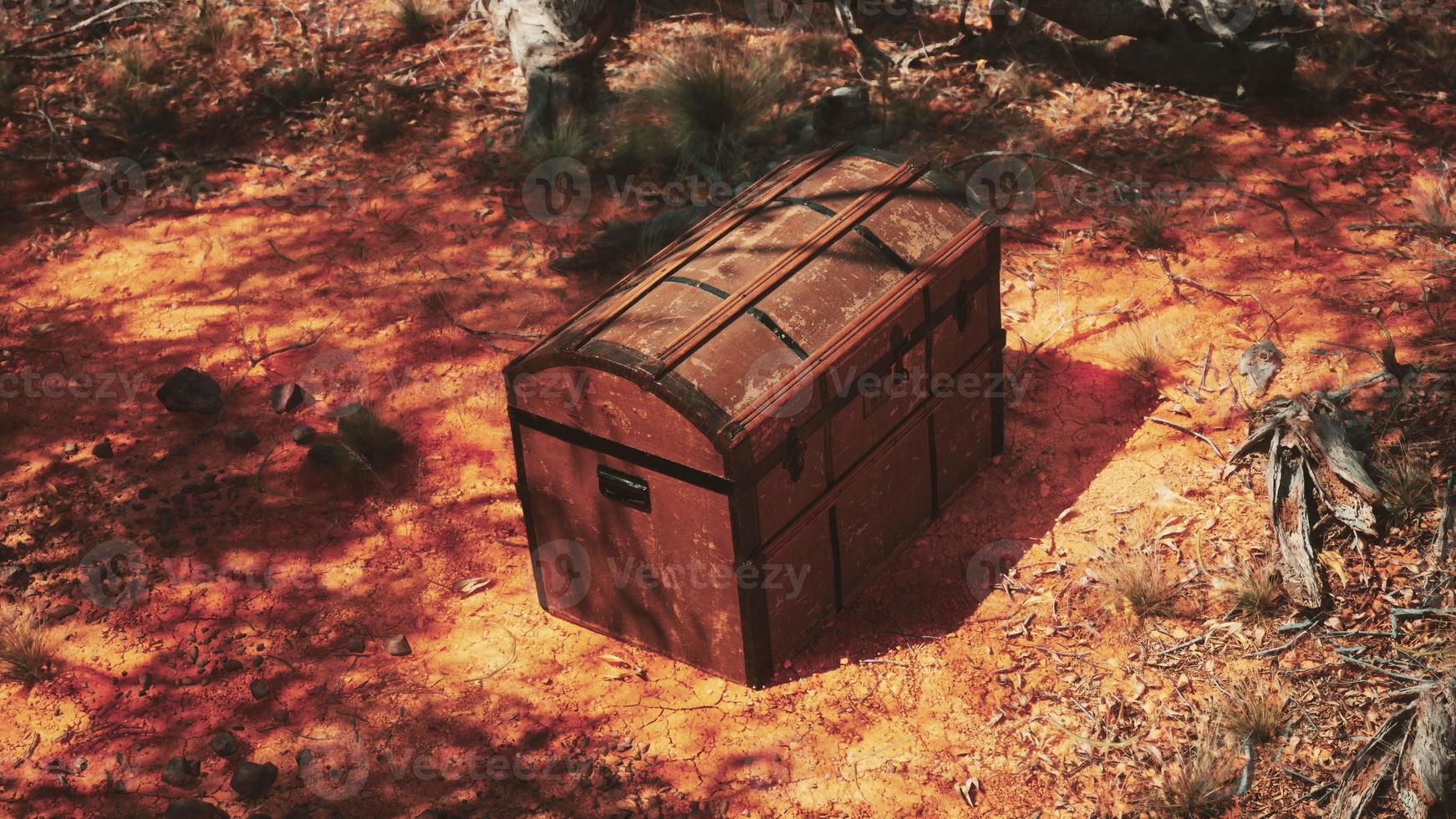 Closed wooden treasure chest on sandy beach photo