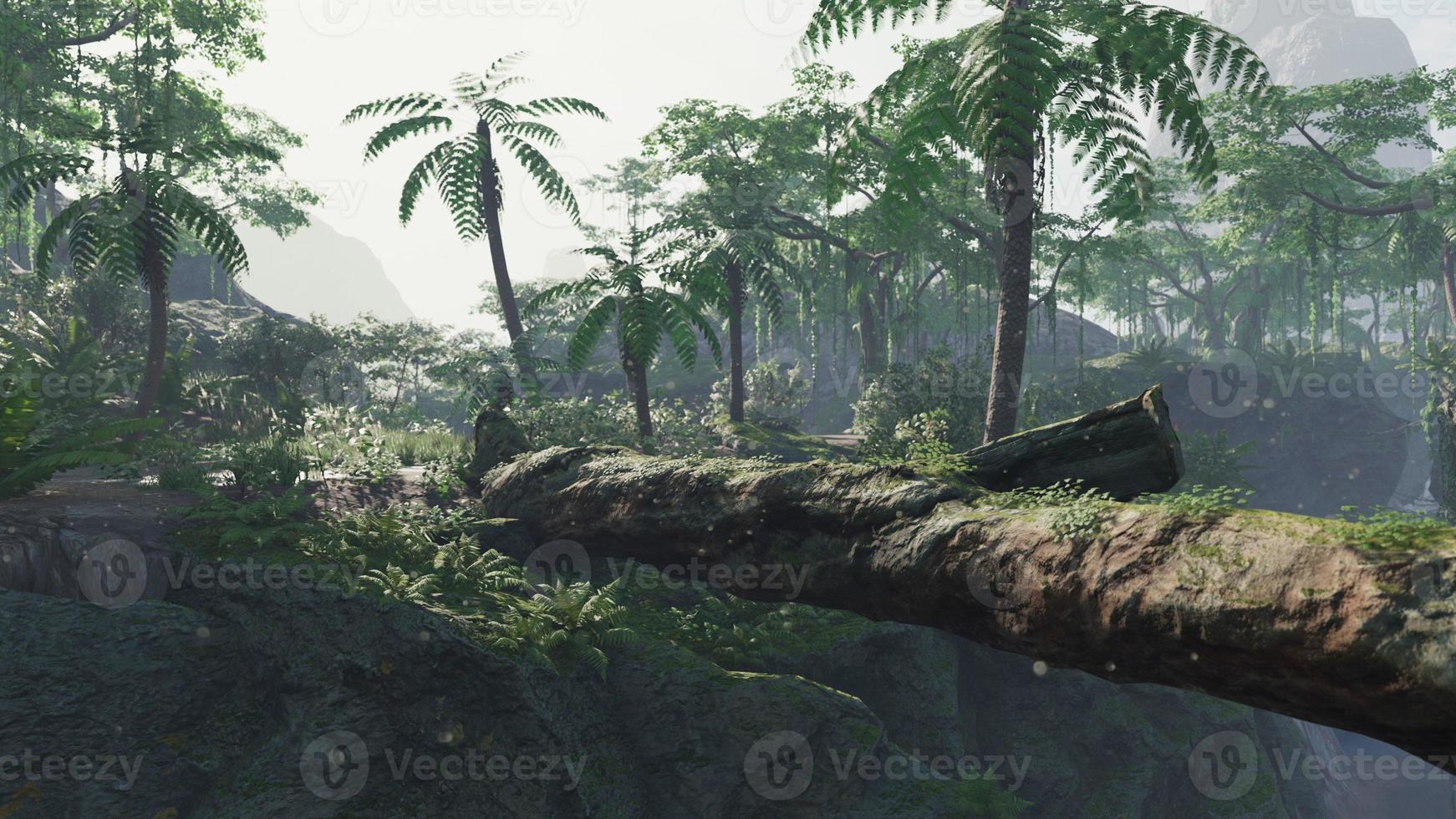 tropical jungles of South East Asia photo