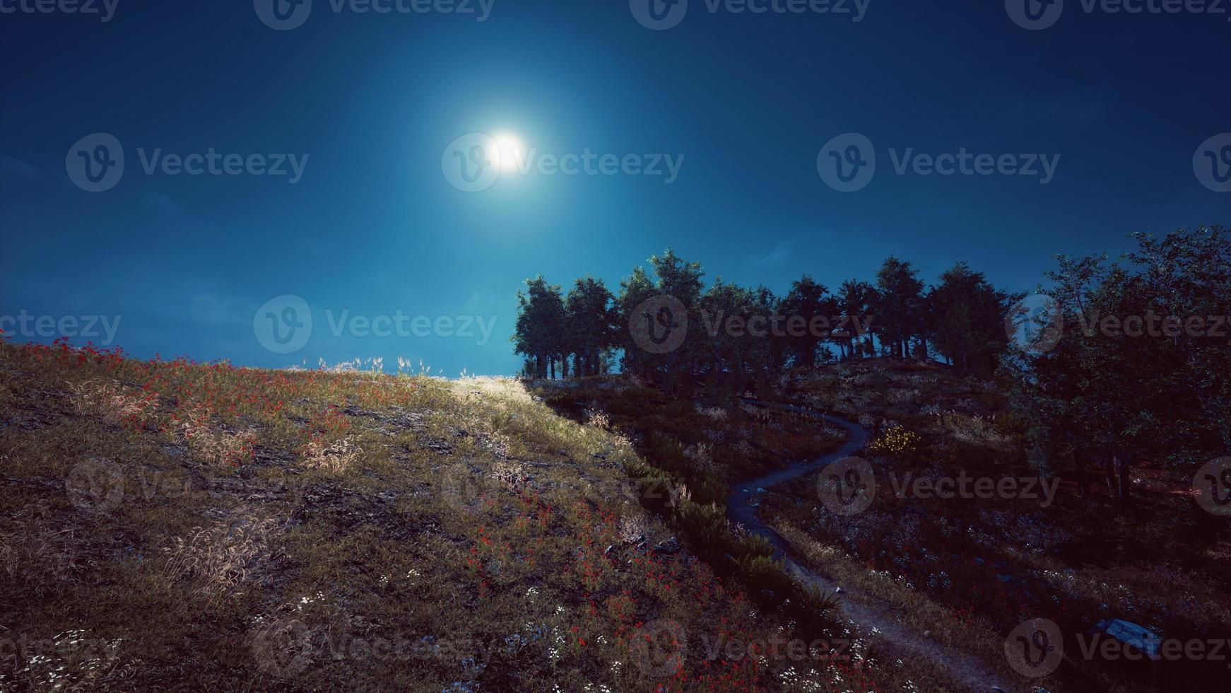 Summer landscape in mountains and the dark blue sky photo