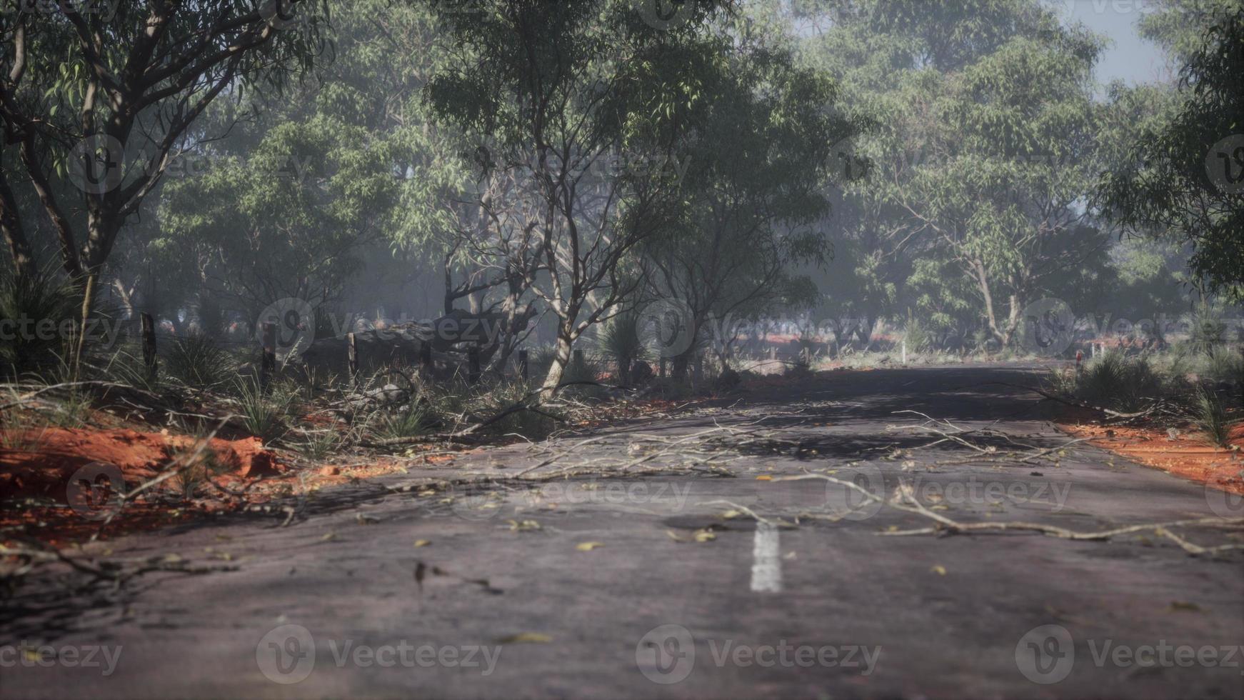 Road leading over small hills in australian bush landscape photo