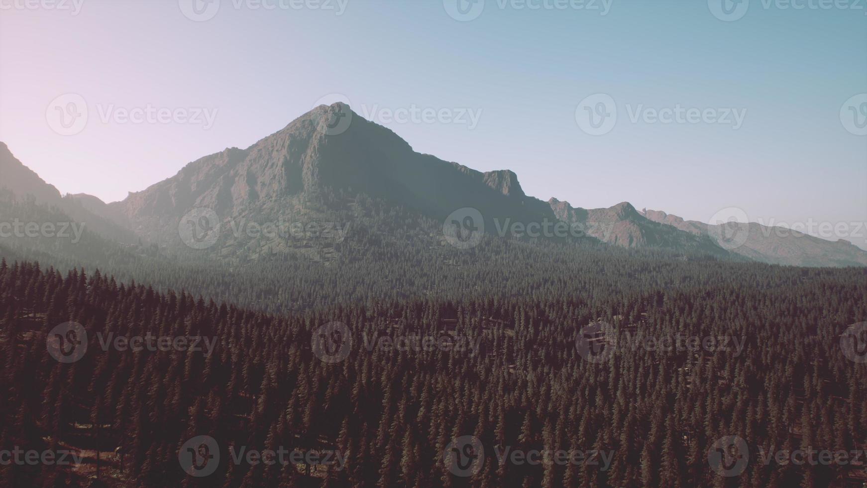 Beautiful mountain view with pine forest photo