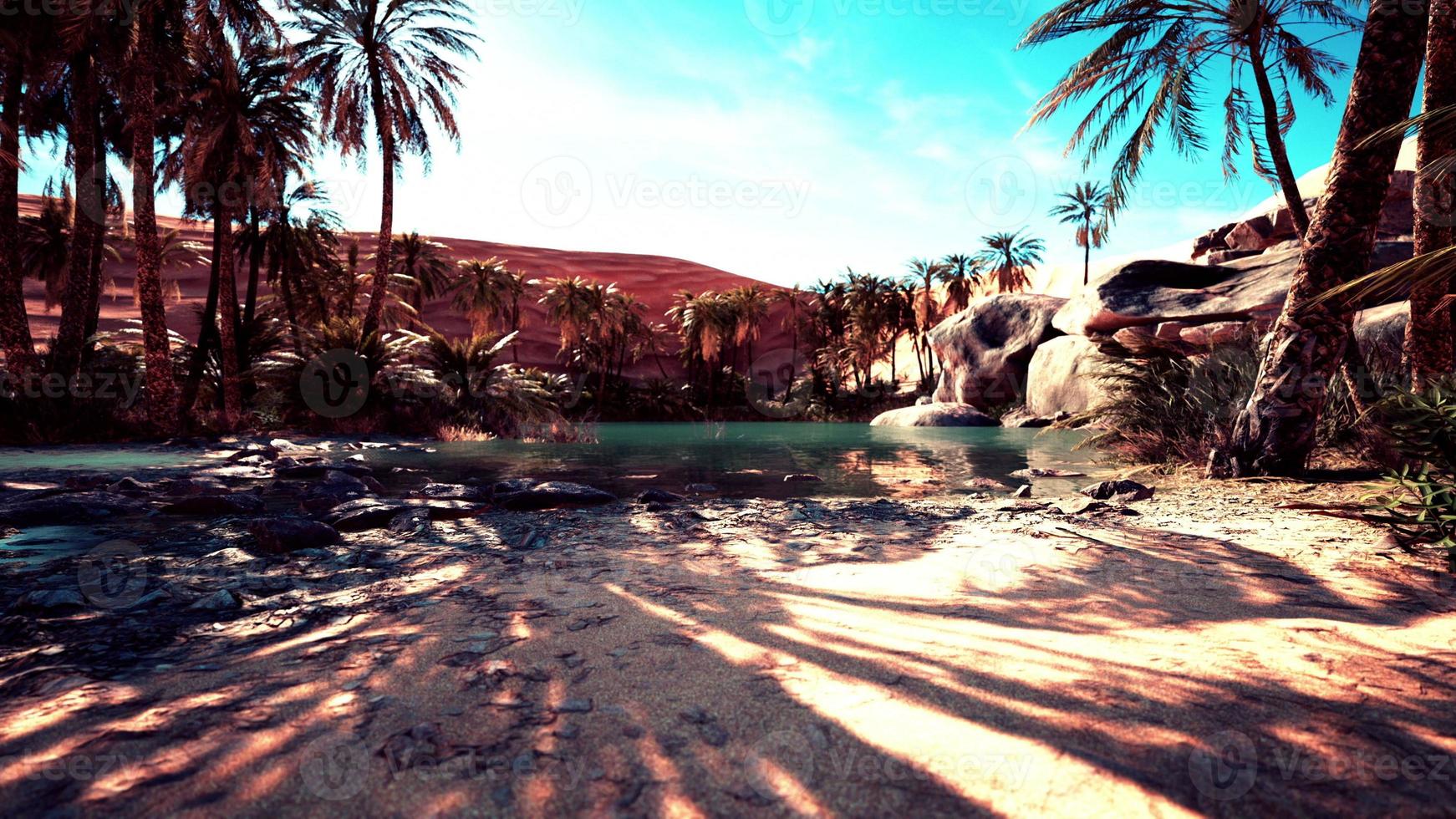 Fantasy pond oasis in a palm forest photo