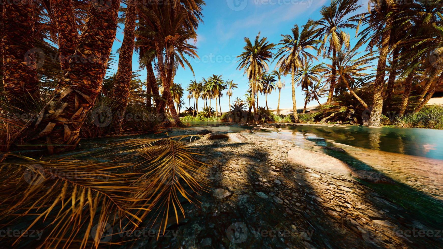 An desert oasis in the Oman photo
