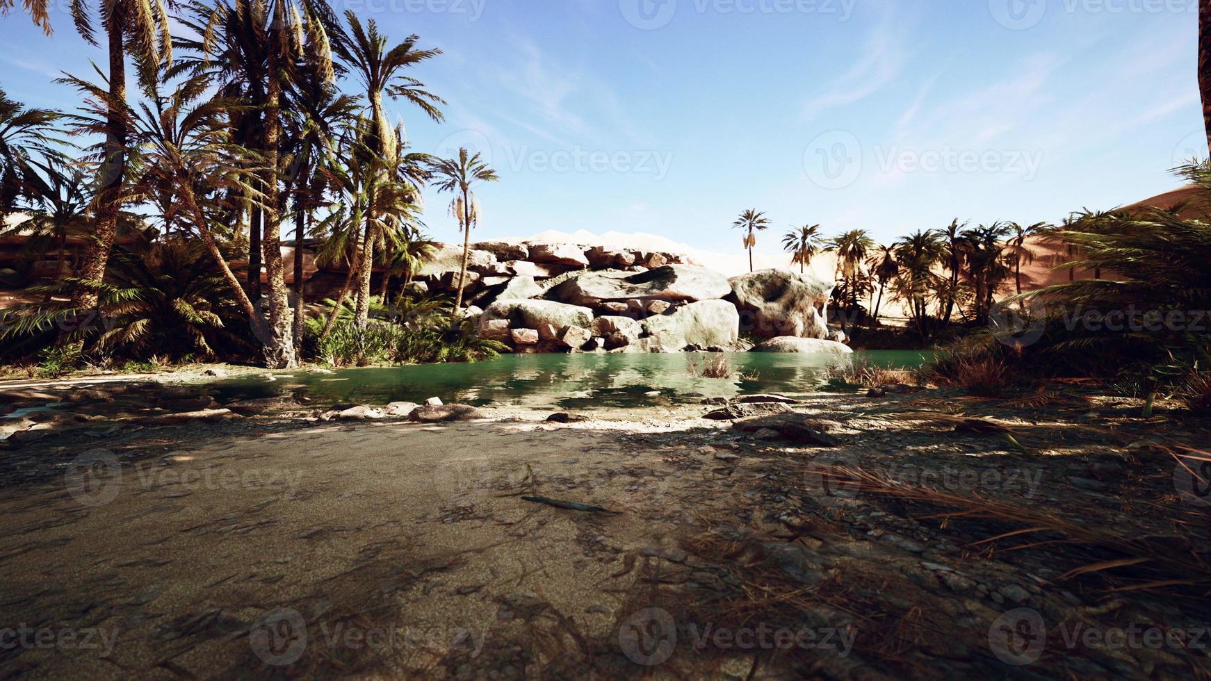 Oasis lake in desert surrounded high yellow sand dunes photo