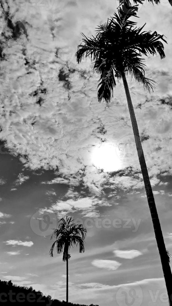 black-white picture vertically, dark sky gray clouds above top view sun, with landscape nature background concept. photo