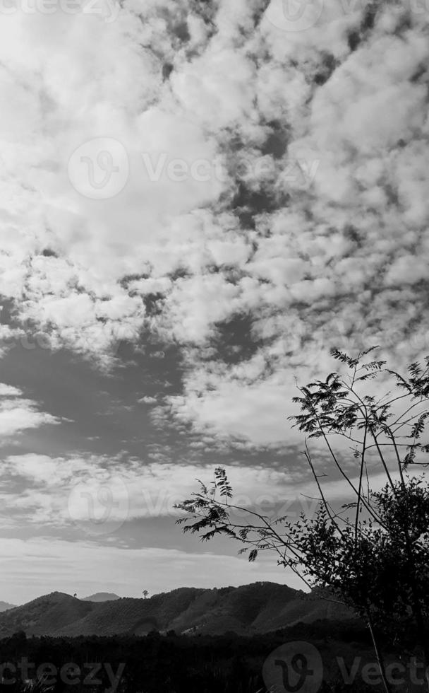 landscape vertical picture, white cloud vintage sky, daylight top view high tree, with mountain background around countryside. Thailand. photo