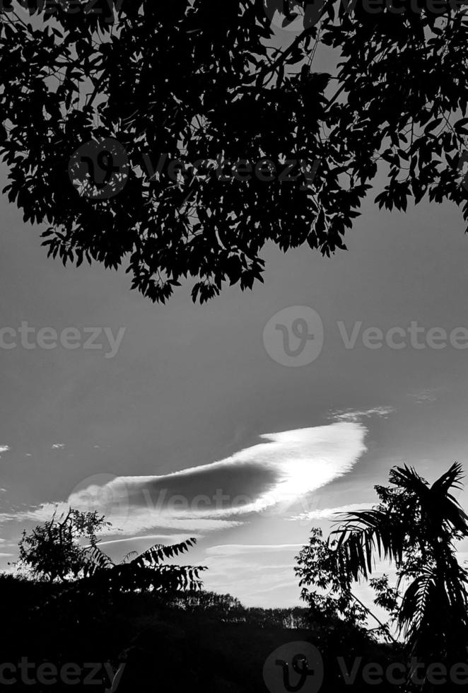 landscape vertical picture, white cloud vintage sky, daylight top view high betel nut tree, with mountain background around countryside. Thailand. photo