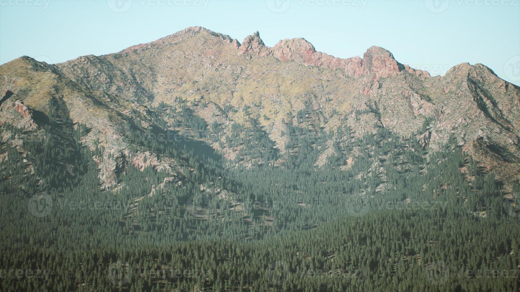 Beautiful mountain view with pine forest photo