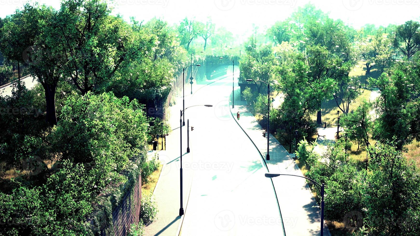 Empty asphalt road in city with trees photo