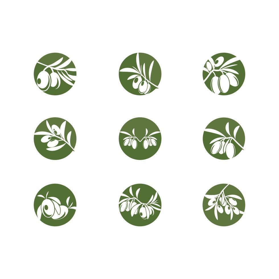 olive icon vector illustration symbol design template