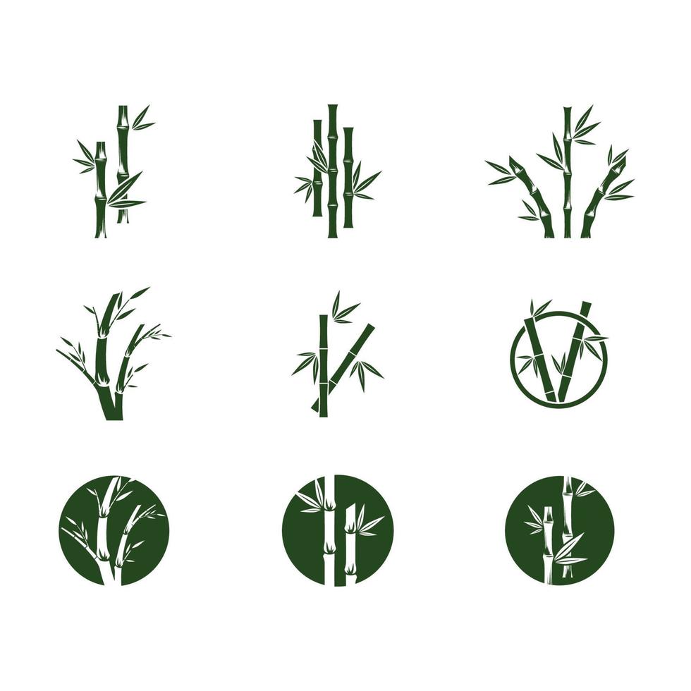 Bamboo with green leaf logo ilustration vector template