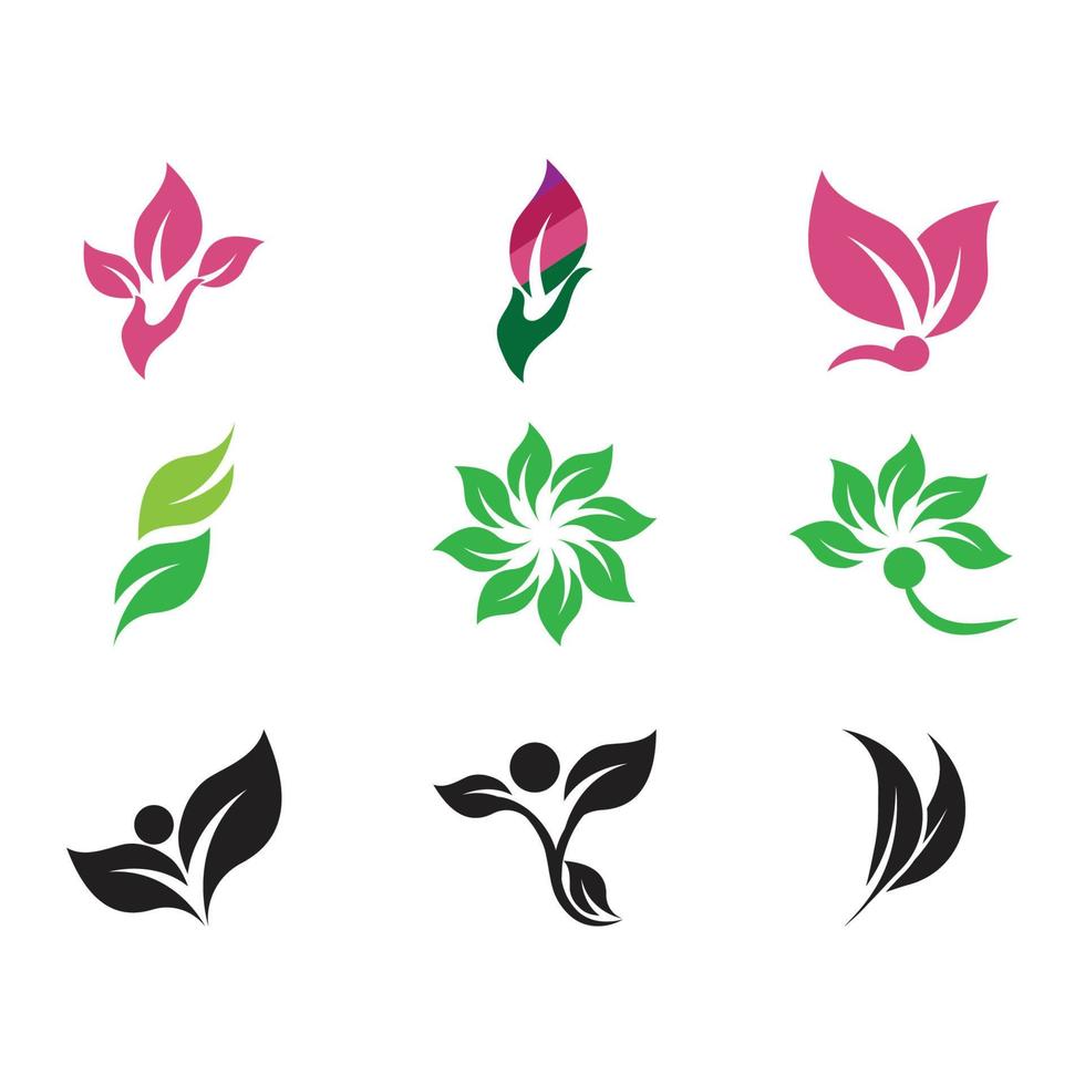 Leaf and Shutter Lens Aperture for Nature Photographer logo design inspiration vector