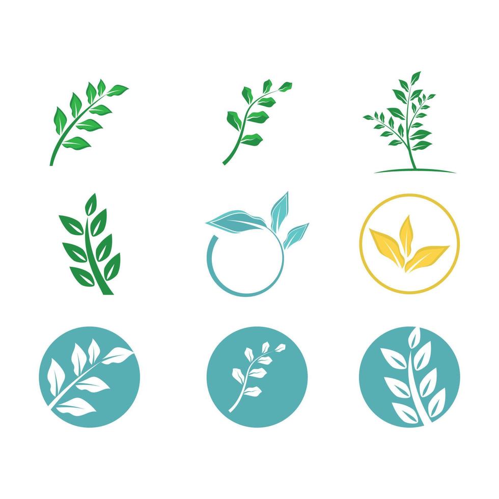 Leaf and Shutter Lens Aperture for Nature Photographer logo design inspiration vector