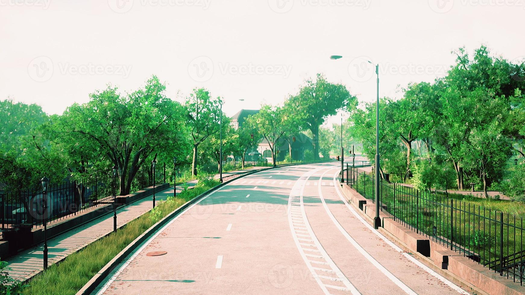 country asphalt road and green trees nature landscape in the summer photo