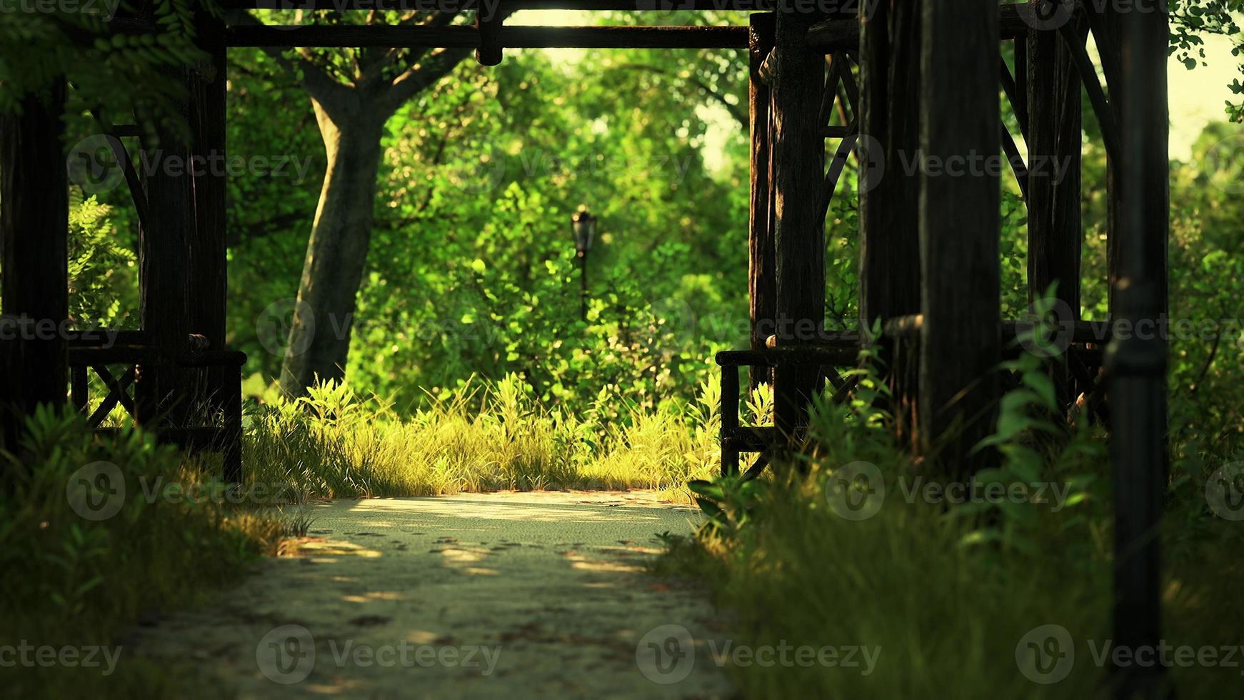 Walking trails in the park photo