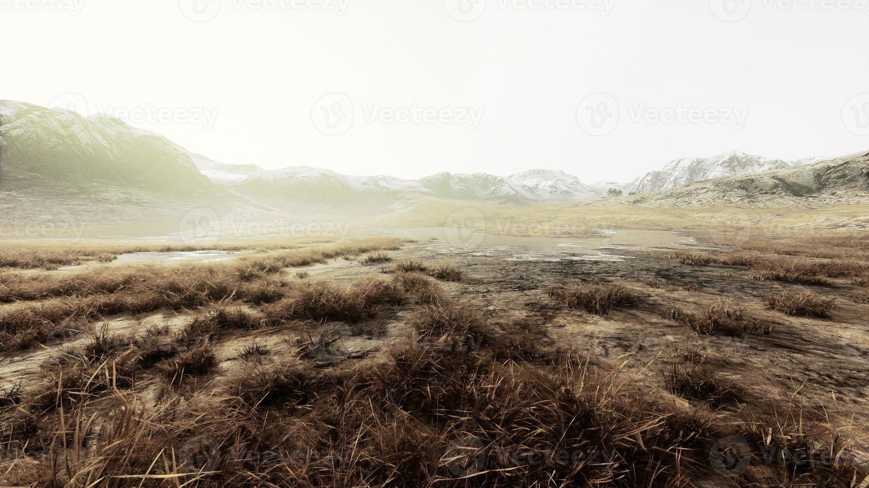 Plain with dried grass and mountain peaks in the background photo