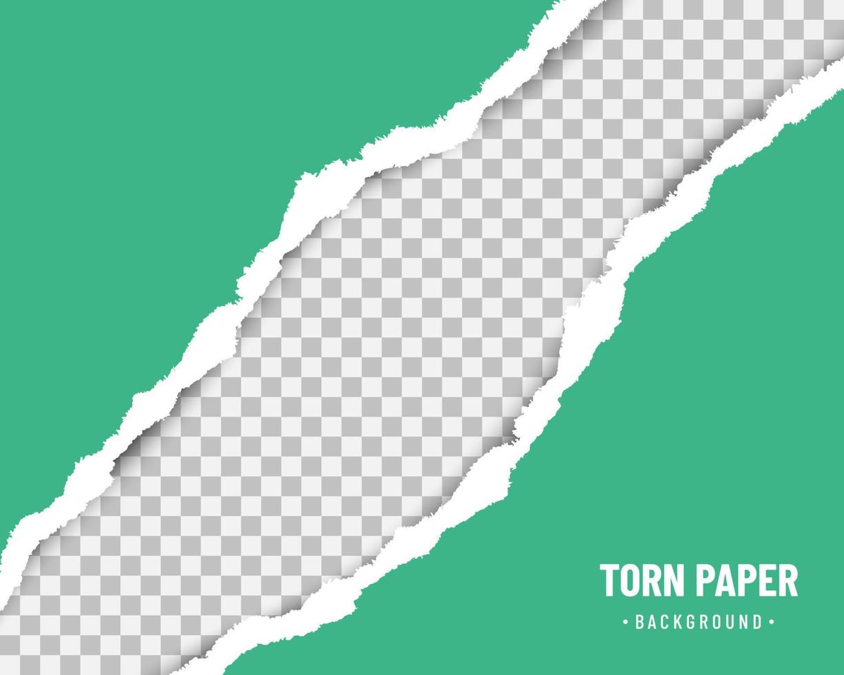 Green torn paper in middle with soft shadow on transparent background vector