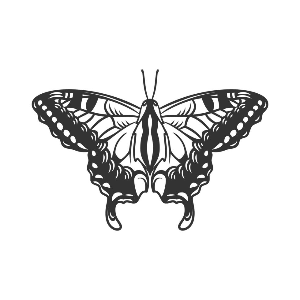 Beauty butterfly line art illustration black and white vector