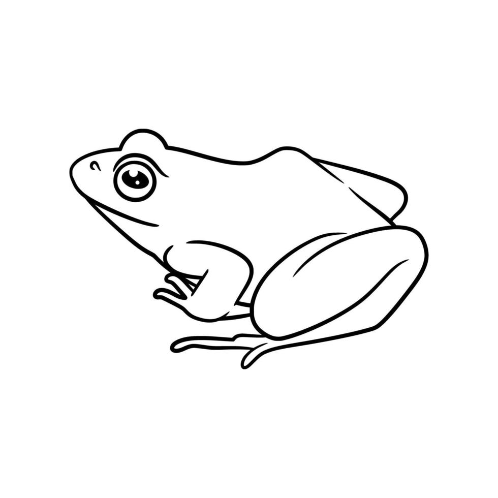 Frog line art drawing illustration vector