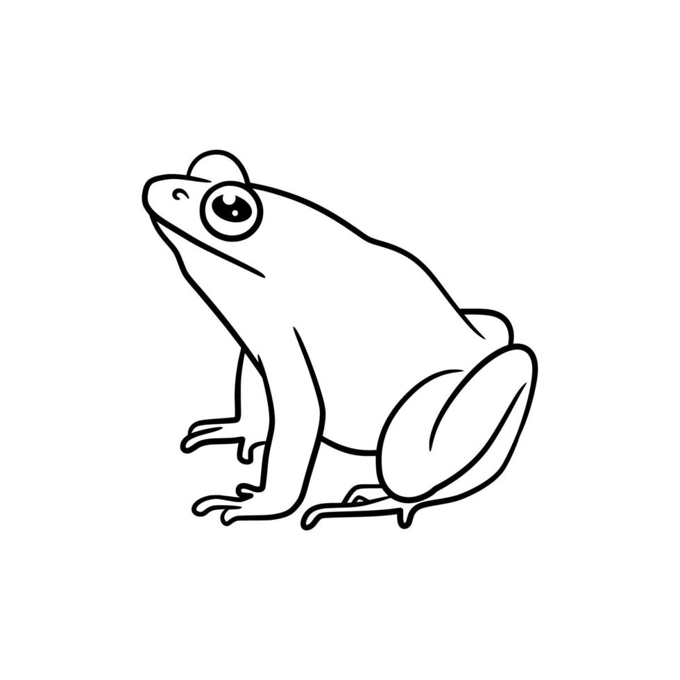 Frog line art drawing illustration vector