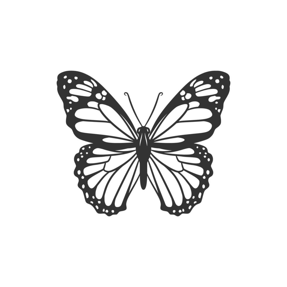 Beauty butterfly line art illustration black and white vector