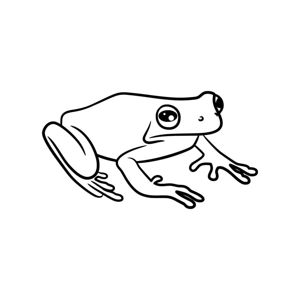 Frog line art drawing illustration vector